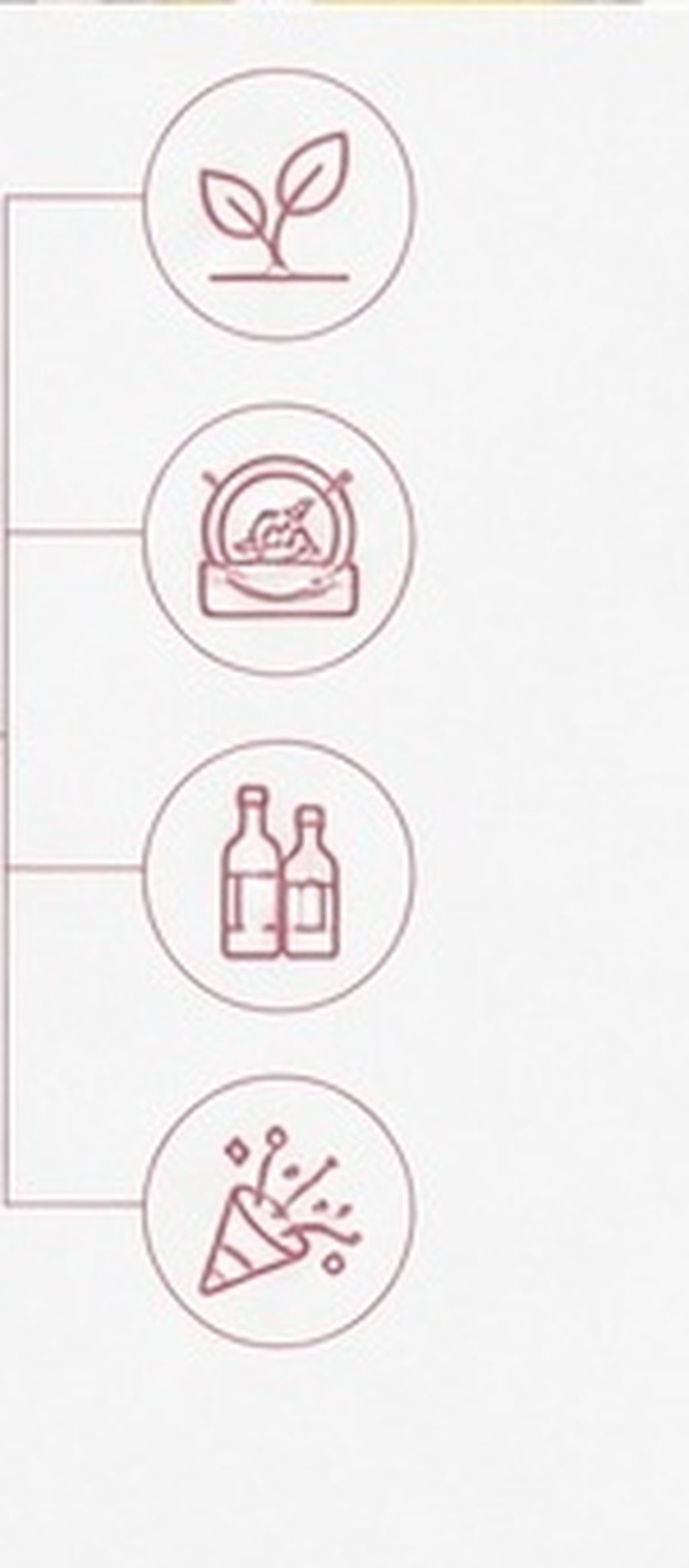 Lot de 5 bouchons de bouteille - Wine Beer Hat avis et prix